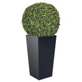 WellHome Set Prosperplast Urbi Square pot de fleurs haute 35 litres plastique avec conteneur anthracite, 55 (H) x 29,5 (D) cm + buis boule Ø 36 cm