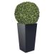 WellHome Set Prosperplast Urbi Square pot de fleurs haute 35 litres plastique avec conteneur anthracite, 55 (H) x 29,5 (D) cm + buis boule Ø 36 cm