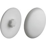 Häfele Cache IS15 pour vis pour plaques de serrage TORX avec étoile intérieure, gris clair - RAL 7034