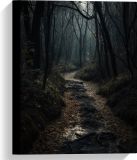 Merkloos / Sans marque Take your time Canvas - Bos - Bomen - Pad - Donker - Bladeren - 30x40 cm Foto op Canvas Schilderij (Wanddecoratie op Canvas)