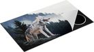 Chefcare Inductie Beschermer Grijze Wolf in de Bossen - 90x55 cm - Multicolor