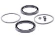 Autofren Seinsa D4094 reparatieset, remklauw