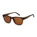 Superdry Sds-5055-102 Dames Zonnebril Bruin Vrouw