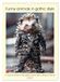 Funny Calvendo Funny animals in gothic style (Wall Calendar 2027 DIN A4 portrait), CALVENDO 12 Month Wall Calendar