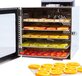 Vita5 Nobel S Voedseldroger - RVS - 24-Uurs Timer - 30-90°C - 400 Watt - Led-bedieningspaneel - Dehydrator - 6 Laags