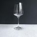 RCR Universum Wijnglas 55cl - 6 stuks