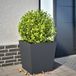 Maison Exclusive - Jardinière anthracite 50x50x50 cm en acier
