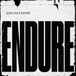 Endure Special Interest Endure (LP)