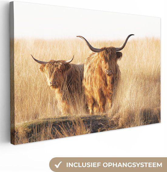 OneMillionCanvasses Canvas Schilderij 180x120 cm - Schotse Hooglanders - Rechthoekig