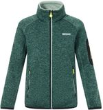 Regatta Kinderfleece Newhill Groen Unisex 5 jaar