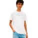 Tommy Hilfiger TJM Regular Linear Logo Écru/Bahama Green T-shirt