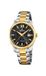 Festina Montre homme Swiss Made analogique en acier inoxydable 316l