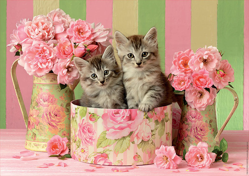Educa Kittens with roses - 500