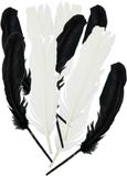 Glorex Hobby Sierveren - Zwarte en witte decoratie veertjes - 30 stuks