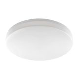 GTV FENIX Led-plafondlamp, 20 W, 2000 lm, neutraal wit licht, 4000 K, diameter 300 mm, IP40, eenvoudige klikmontage, ronde lamp voor kantoor, hal en keuken, wit