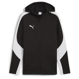 Puma TeamEVOSTRIPE Hooded Jacket 659947