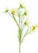 Easyplants Kunstbloem Cosmos Bibi 77 cm crème