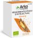 Arkopharma Ginseng Arkocaps 84 gélules