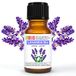 Lavendel Laborbio Lavendel Bio Etherische olie 100% Pure 10 ml