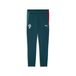 PUMA Sportbroek 'Portugal' groen / donkergroen / donkerrood