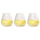 Citronella bougie basse - 3x - 10 cm - 40 heures de combustion - parfum d'agrumes