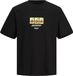 JACK&JONES JORBLOCKPOP TEE SS CREW NECK TG PLS Noir Coton Loose Fit Hommes Printemps/Été 2024
