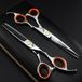 Achilles Ensemble de ciseaux de coiffure professionnels 6 pouces – Ciseaux de coupe et ciseaux effilés - Ciseaux de coiffure