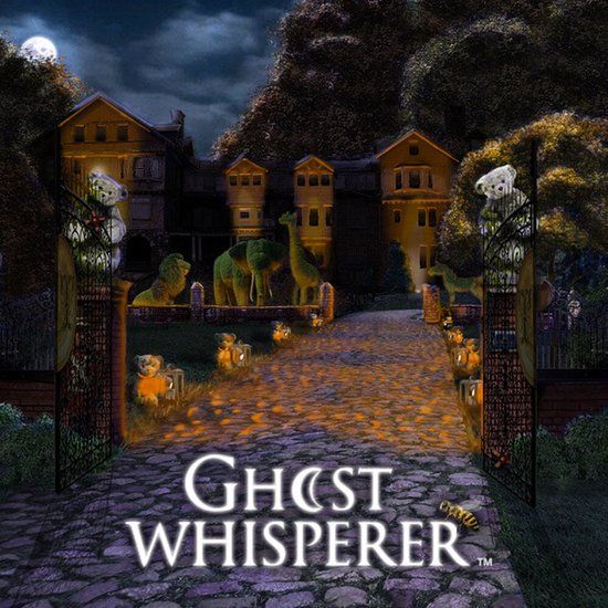 Legacy Games Ghost Whisperer Standard Edition Avontuur PC