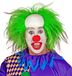 Finidi Clown Hoofdbedekking met groen haar | One Size