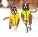 Collar Pet Airyvest Hondenjas M Lime / Yellow