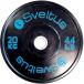 Sveltus disque de musculation olympique