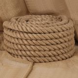 vidaXL Jute Touw - 10 m lang - 50 mm dik