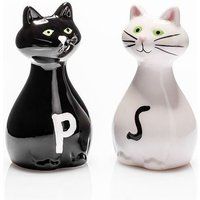 Duo zout peper stel van katten zout- en pepermolen origineel zwart