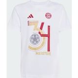Adidas FC Bayern München Championship Winner T-shirt Jeugd