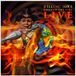 Sonic Rendezvous Killing Joke - Honor The Fire Live (2 CD)