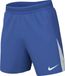 Nike M NK DFADV Vapor V Short K