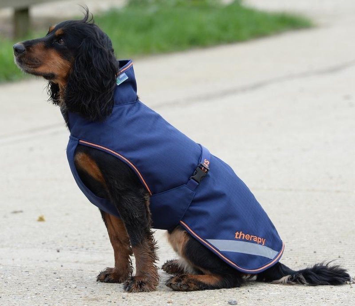 Bucas Recuptex Therapy Dog Rug - maat 35 - navy/orange