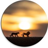 Merkloos / Sans marque Dibond Muurcirkel - Speelgoed Dieren bij Zonsondergang - 30x30 cm