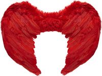 Finidi Veren vleugels rouge 37x50cm