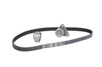 INA 530 0063 10 Distributieriem Kit