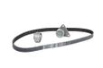 INA 530 0063 10 Distributieriem Kit