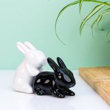 Winkee Konijnen peper- en zoutstel