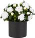 Mica Decorations Kunstplant - Azalea wit - H31 cm - in antraciet bloempot