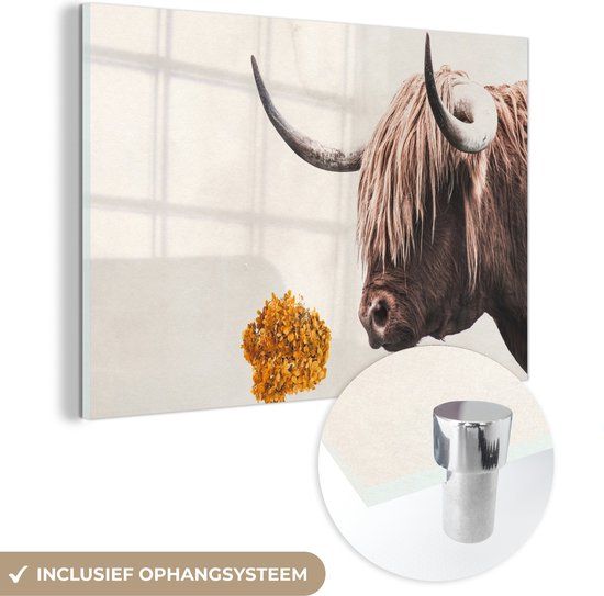 MuchoWow® Glass Painting 60x40 cm - Acrylic Glass Painting - Scottish Highlander - Cow - Flower - Photo on Glass - Paintings