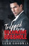 Trapped Libri GmbH Trapped by my Billionaire Bosshole