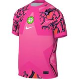 NIKE Nigeria 2026 Stadion Goalkeeper Dri-fit Replica Kurzarm Fußballtrikot Herren