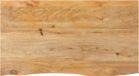 vidaXL Tafelblad met natuurlijke rand 120x60x2,5 cm massief mangohout