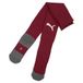 teamLIGA26 PUMA Teamliga26 Sokken Core