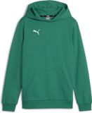 PUMA teamGOAL Casuals hoody-sweatshirt voor kinderen 658619 groen