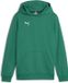 PUMA teamGOAL Casuals hoody-sweatshirt voor kinderen 658619 groen